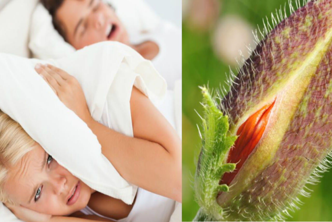 Veritaskliniken är billigast på laserbehandling mot Snarkning och inkontinens